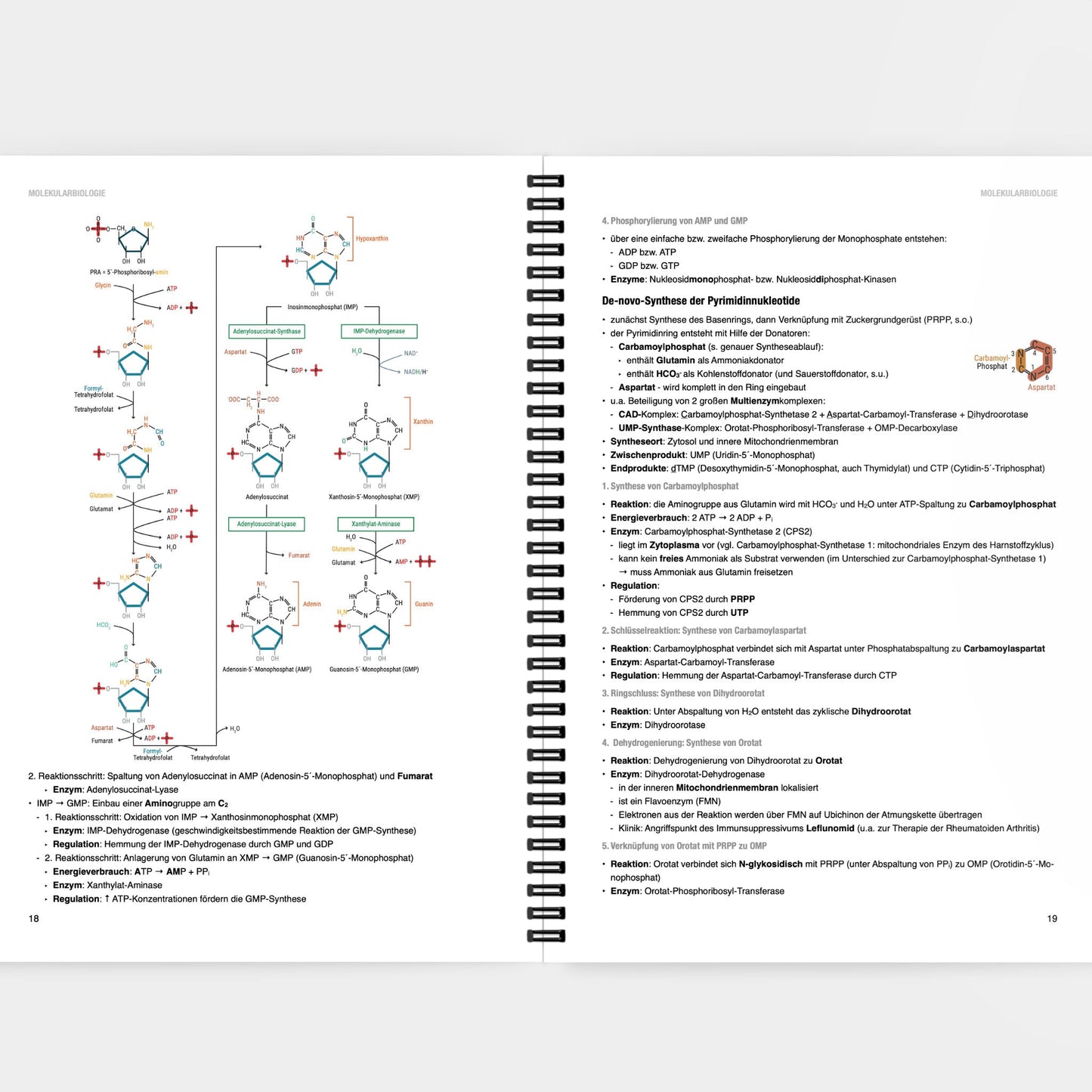 Biochemie 1 - CORETEXT
