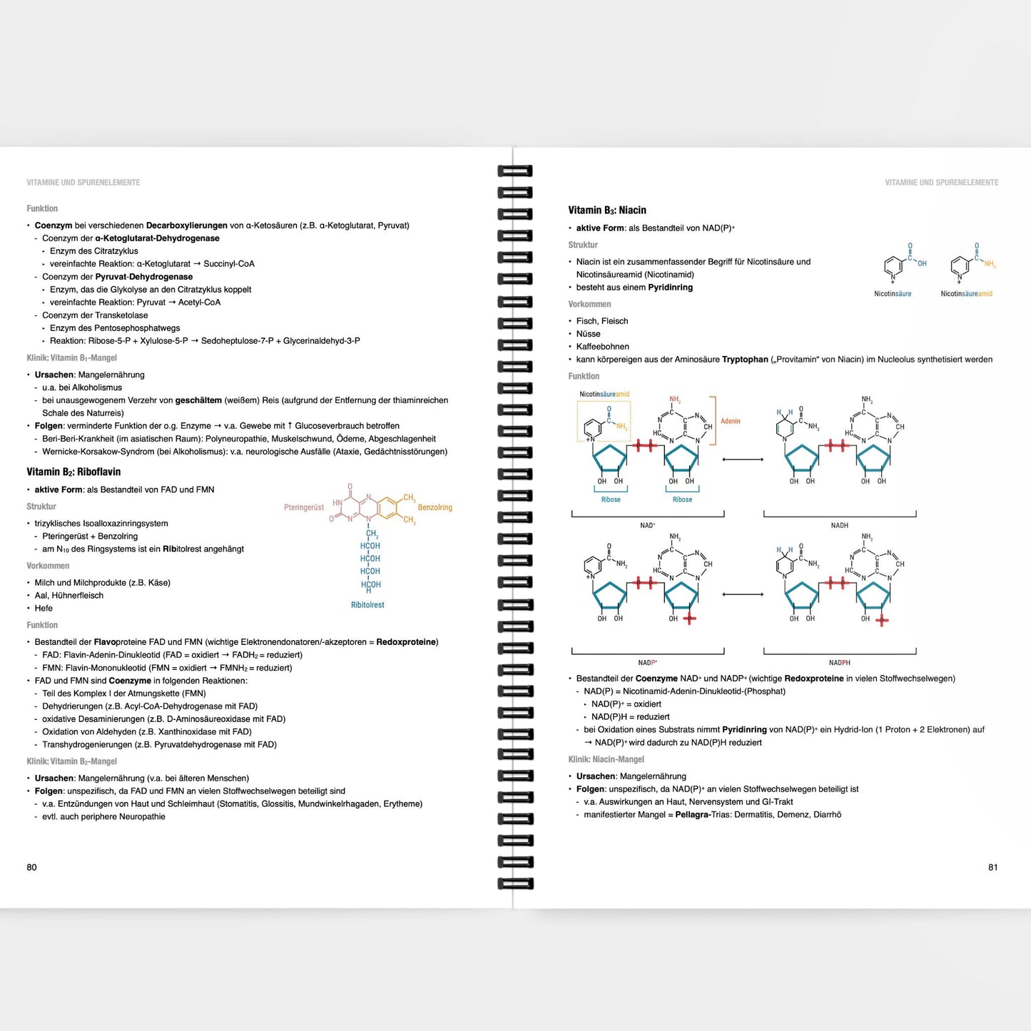 Biochemie 1 - CORETEXT