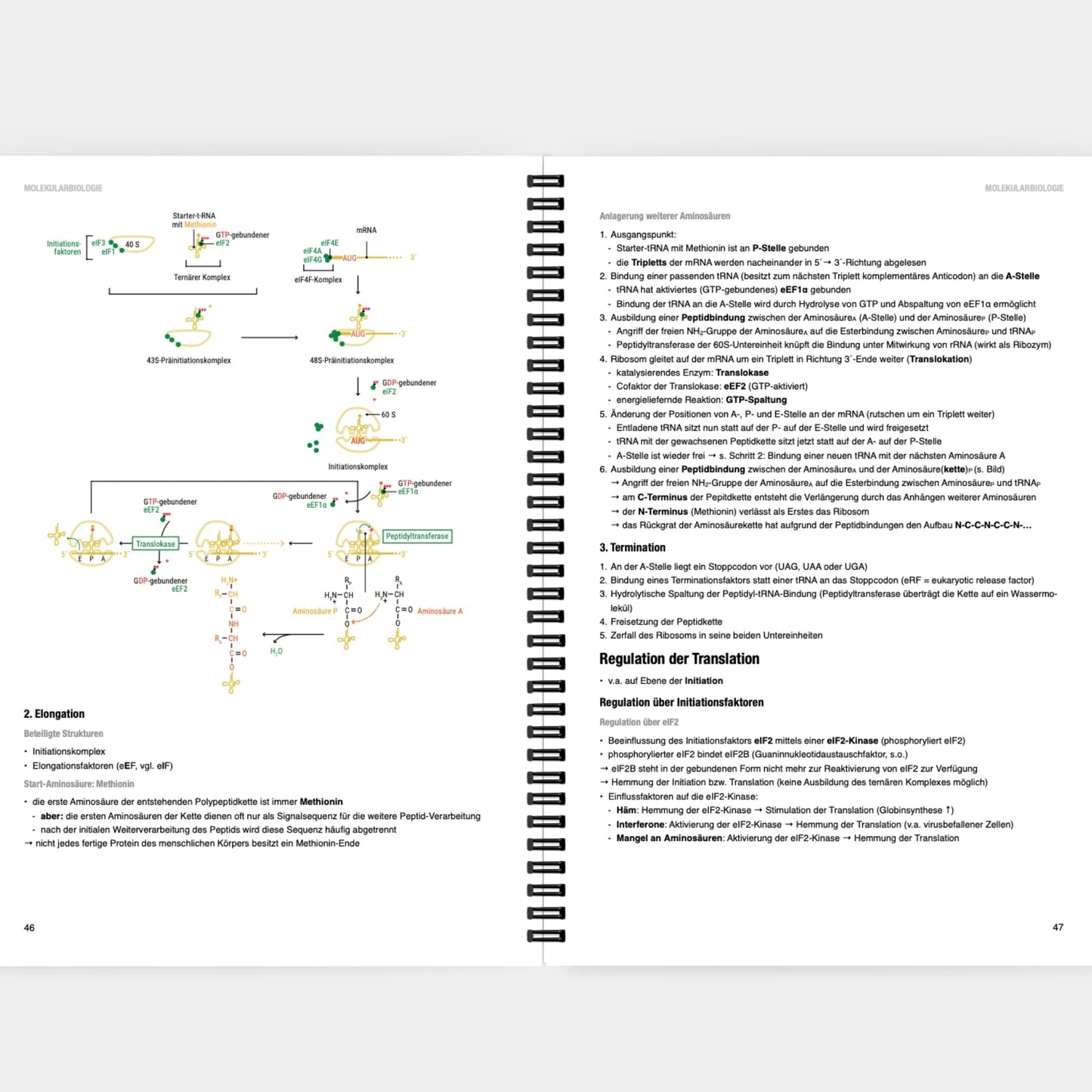 Biochemie 1 - CORETEXT