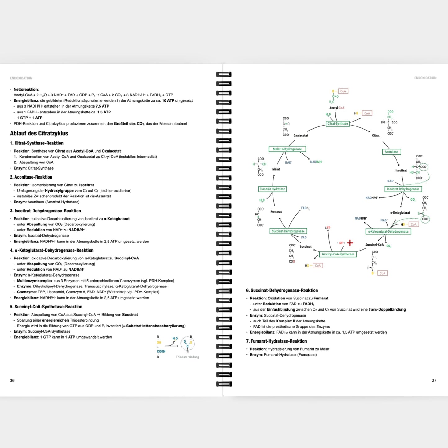 Biochemie 2 - CORETEXT