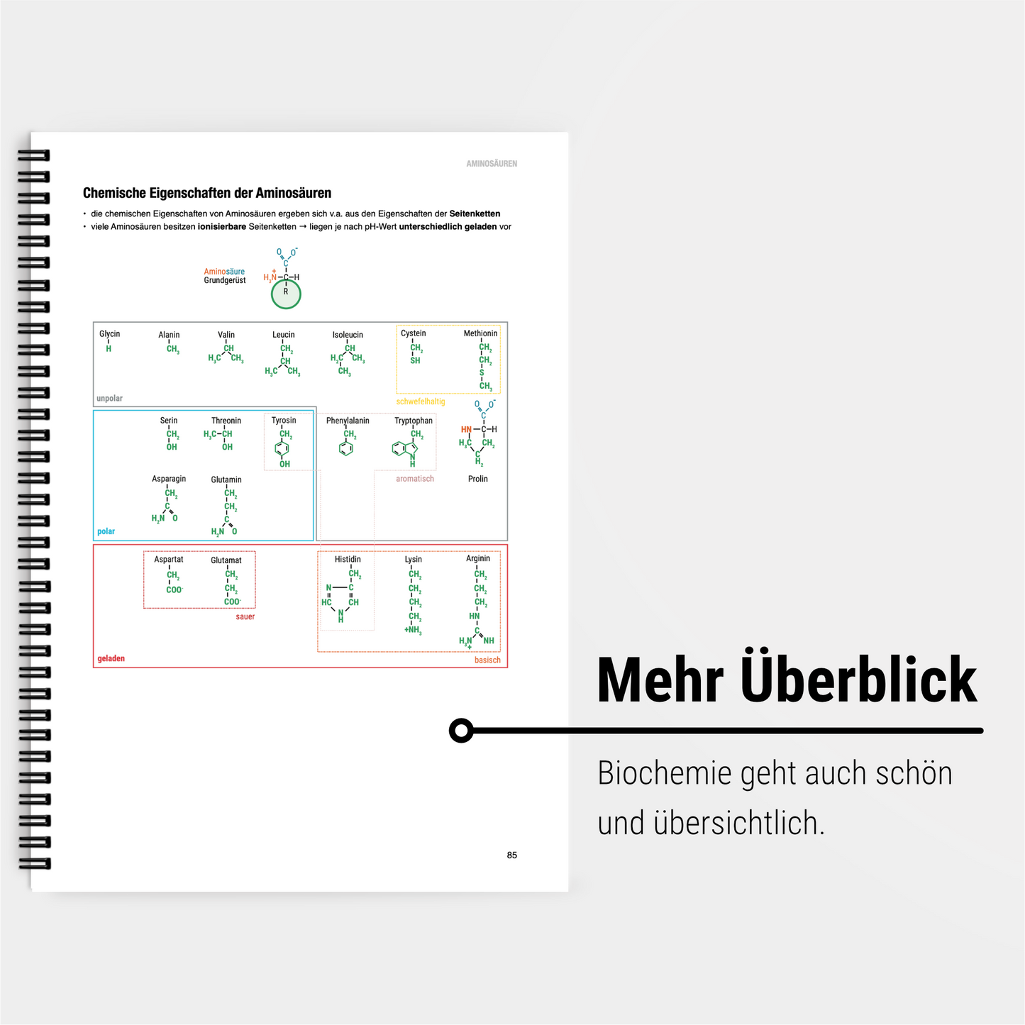 Das extragroße Zeitsparset - Biochemie