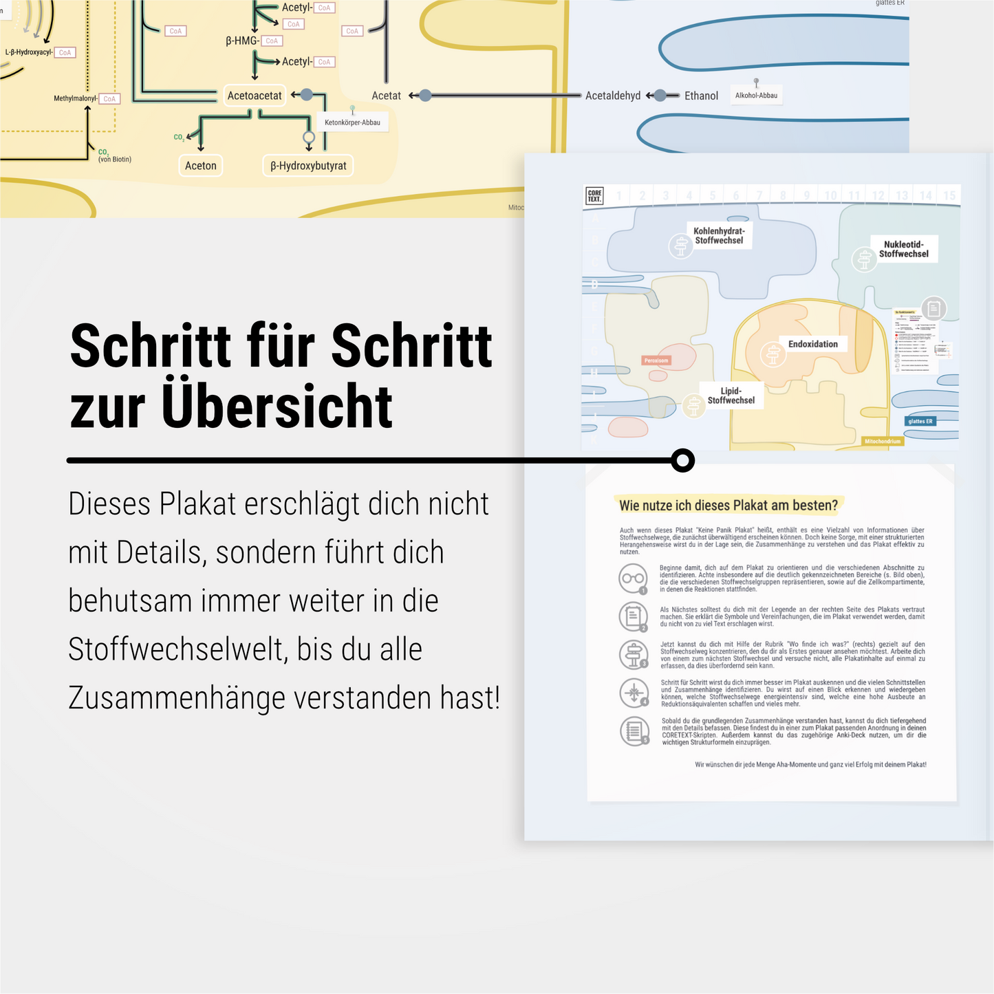 Das Keine-Panik-Plakat