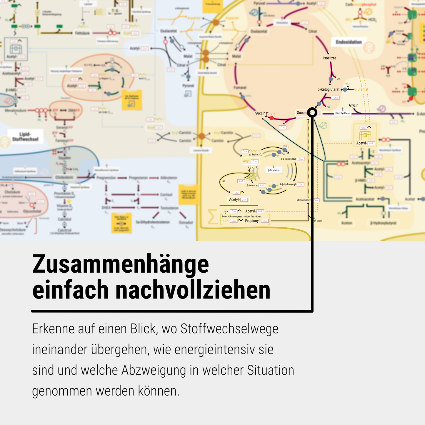 Das Keine-Panik-Plakat