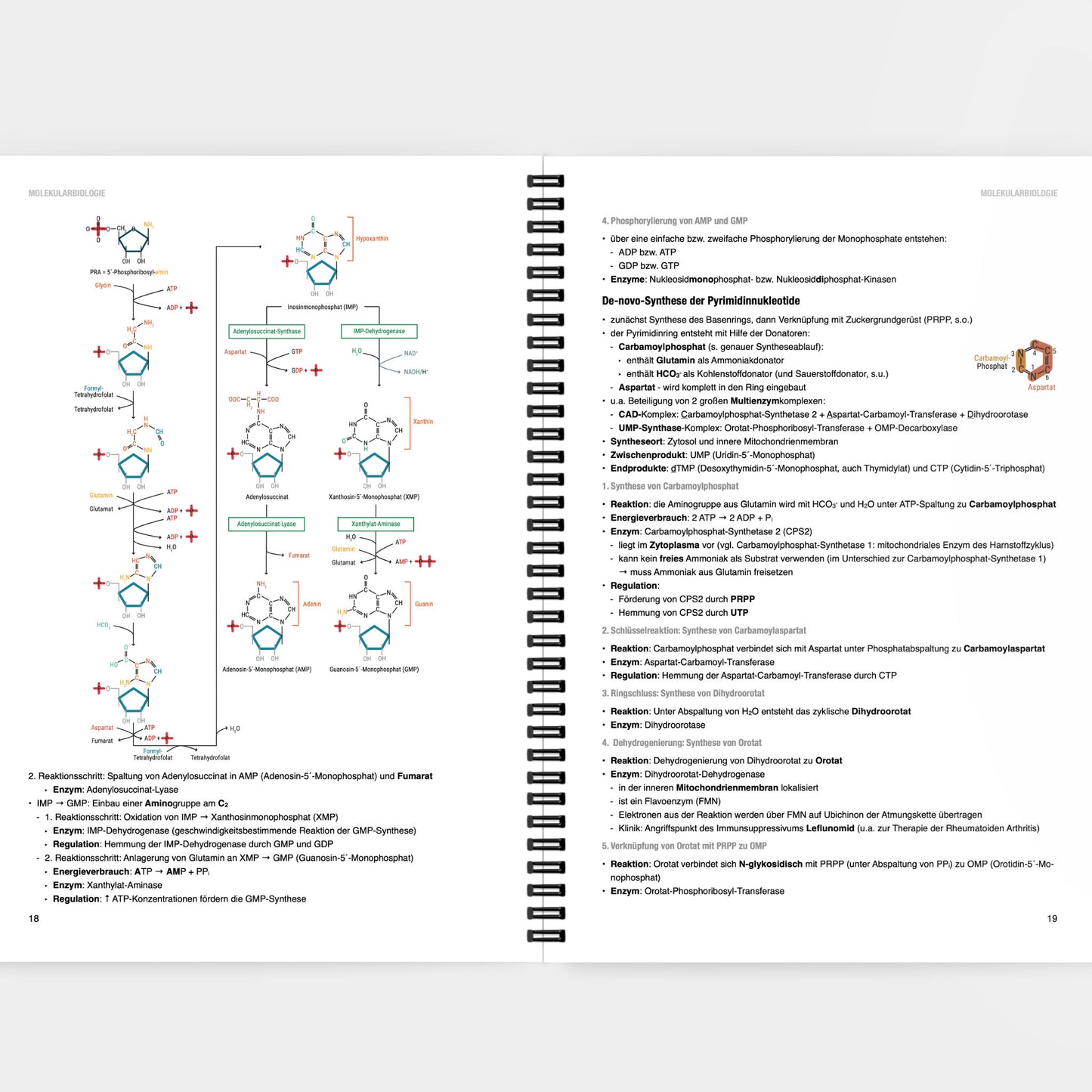 Biochemie 1 - CORETEXT