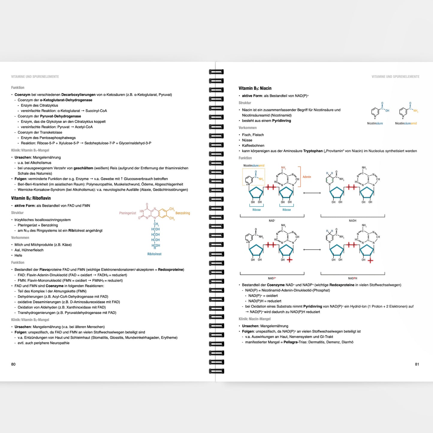 Biochemie 1 - CORETEXT