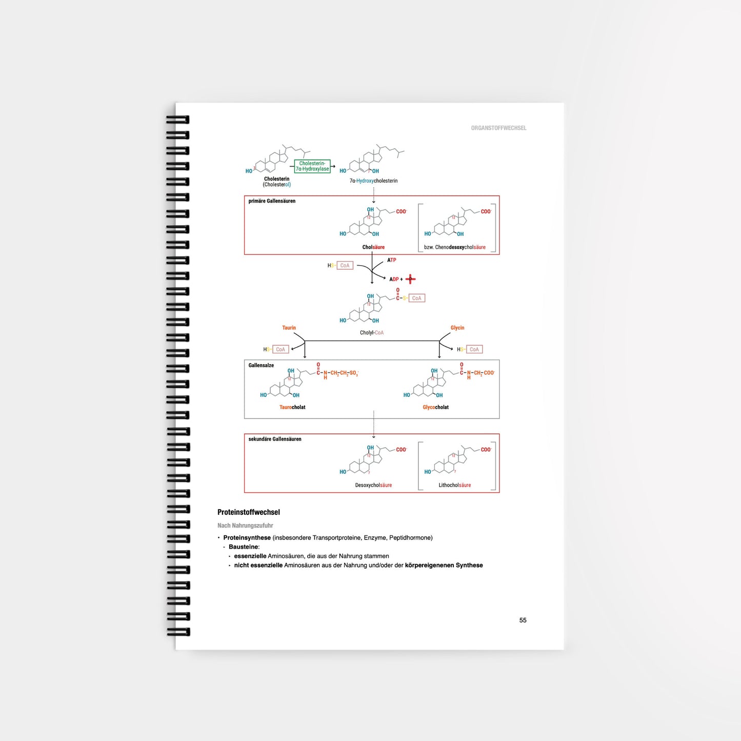 Biochemie 3 - CORETEXT