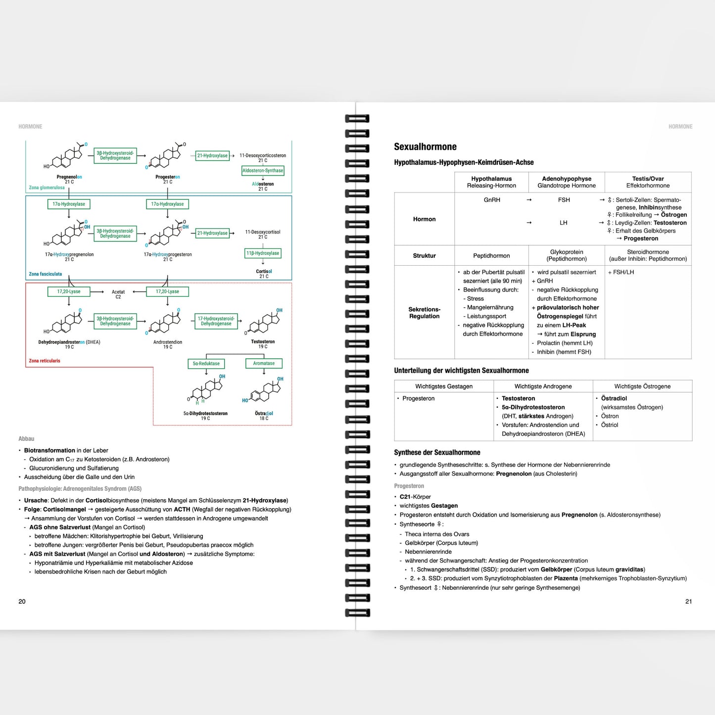 Biochemie 3 - CORETEXT