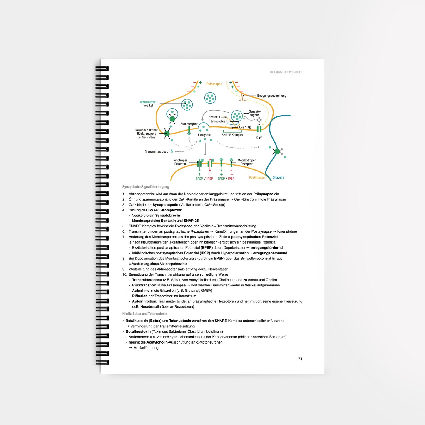 Biochemie 3 - CORETEXT