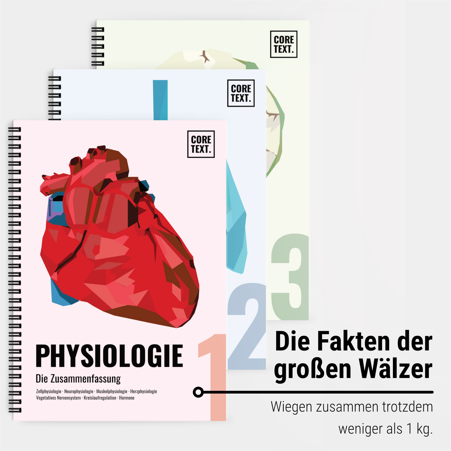 Das große Zeitsparset - Physiologie - CORETEXT