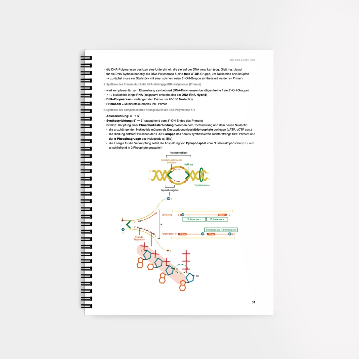 Biochemie 1 - CORETEXT
