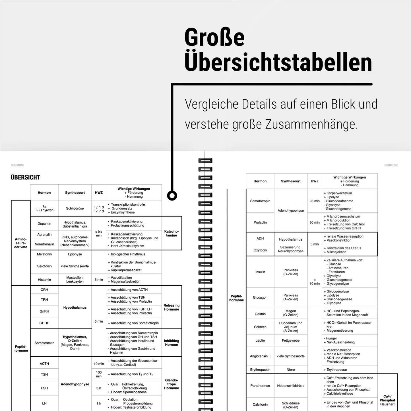 Das große Zeitsparset - Physiologie - CORETEXT