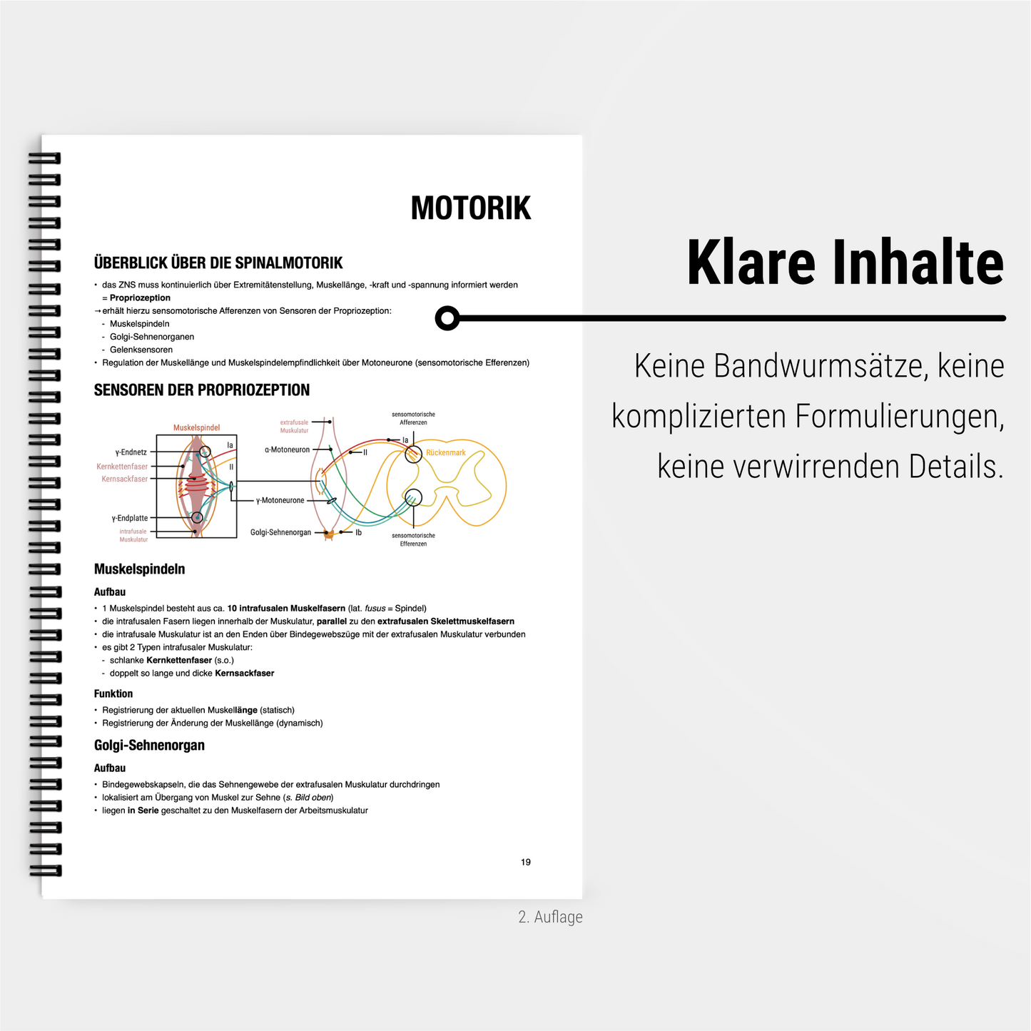 Das Mega-Zeitsparset - Biochemie & Physiologie - CORETEXT