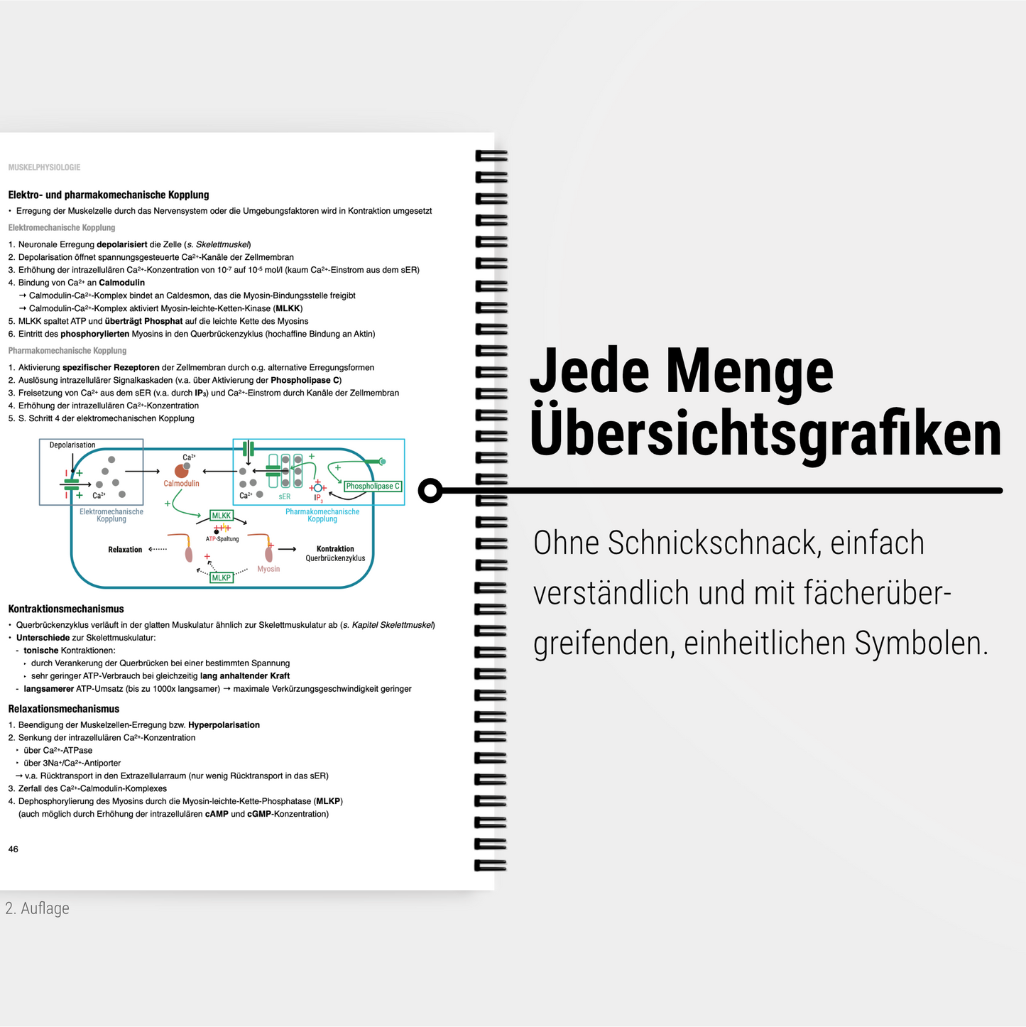 Das große Zeitsparset - Physiologie - CORETEXT