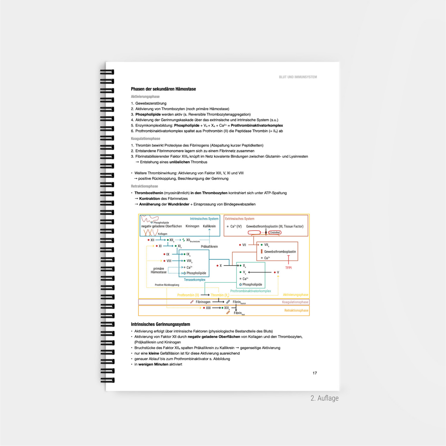 Physiologie 2 - CORETEXT