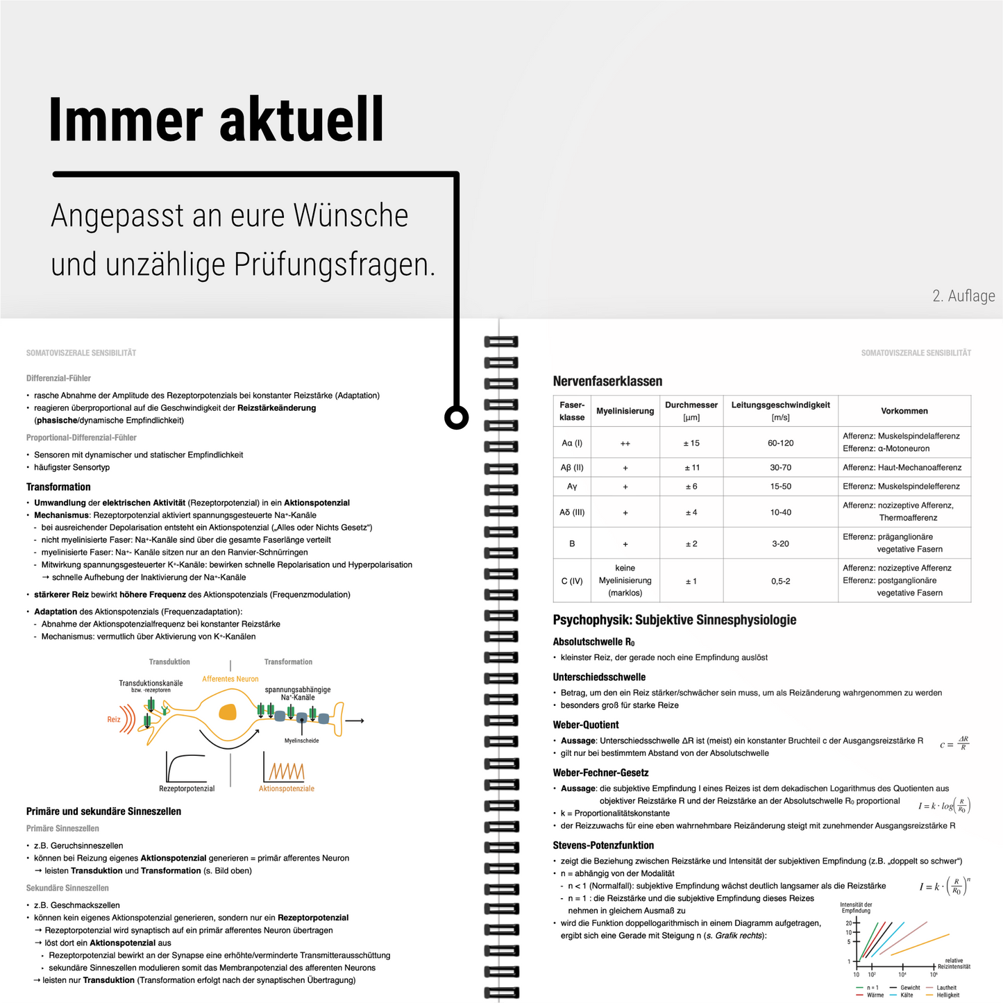 Das große Zeitsparset - Physiologie - CORETEXT