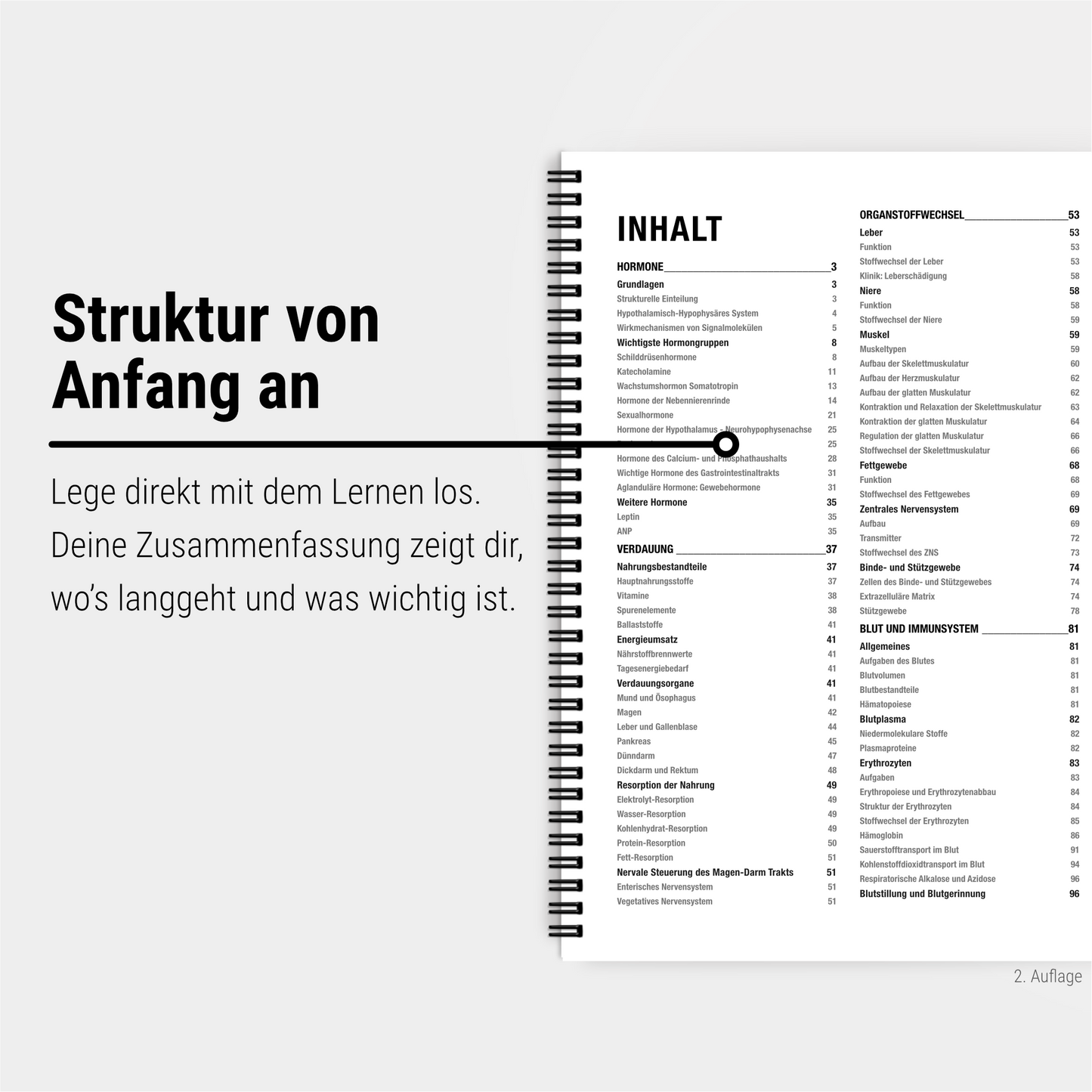 Das Mega-Zeitsparset - Biochemie & Physiologie - CORETEXT