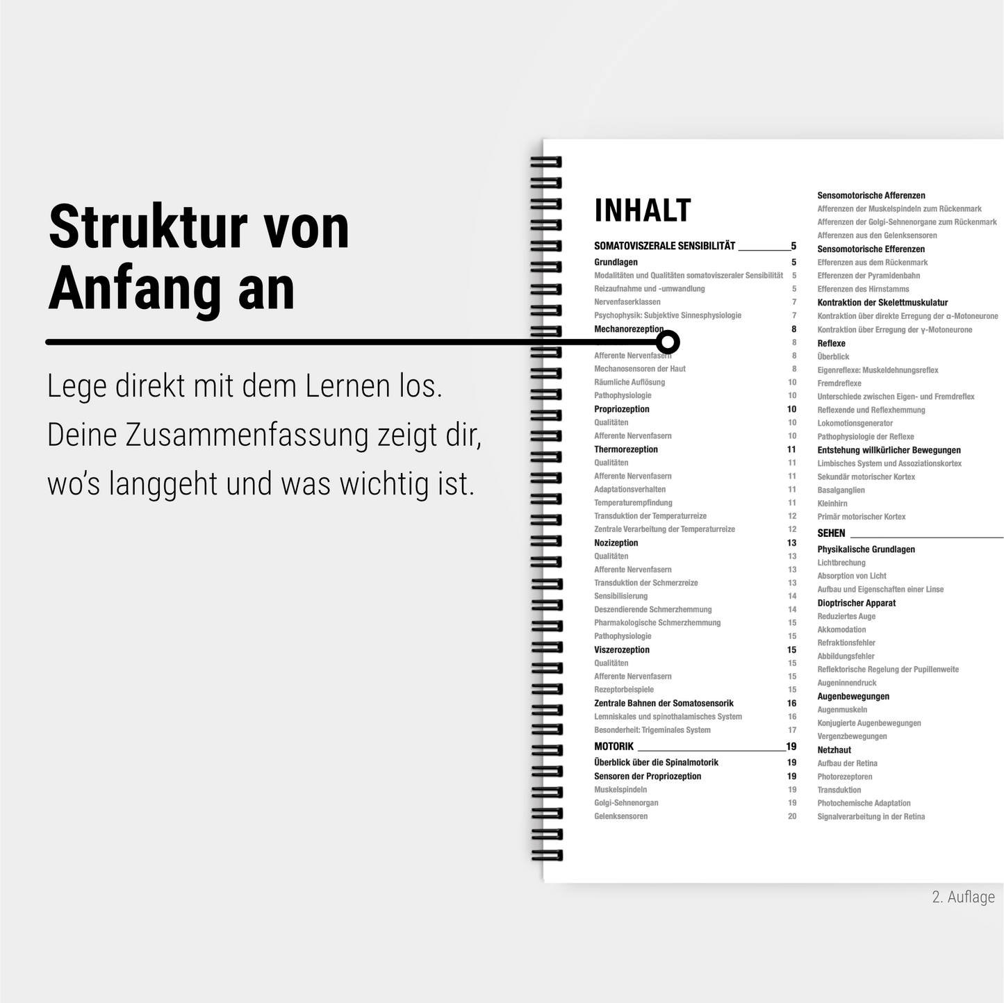 Das große Zeitsparset - Physiologie - CORETEXT