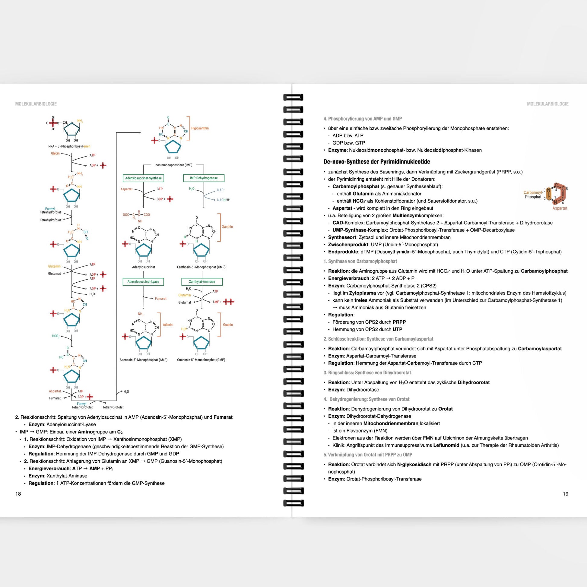Biochemie 1 - CORETEXT