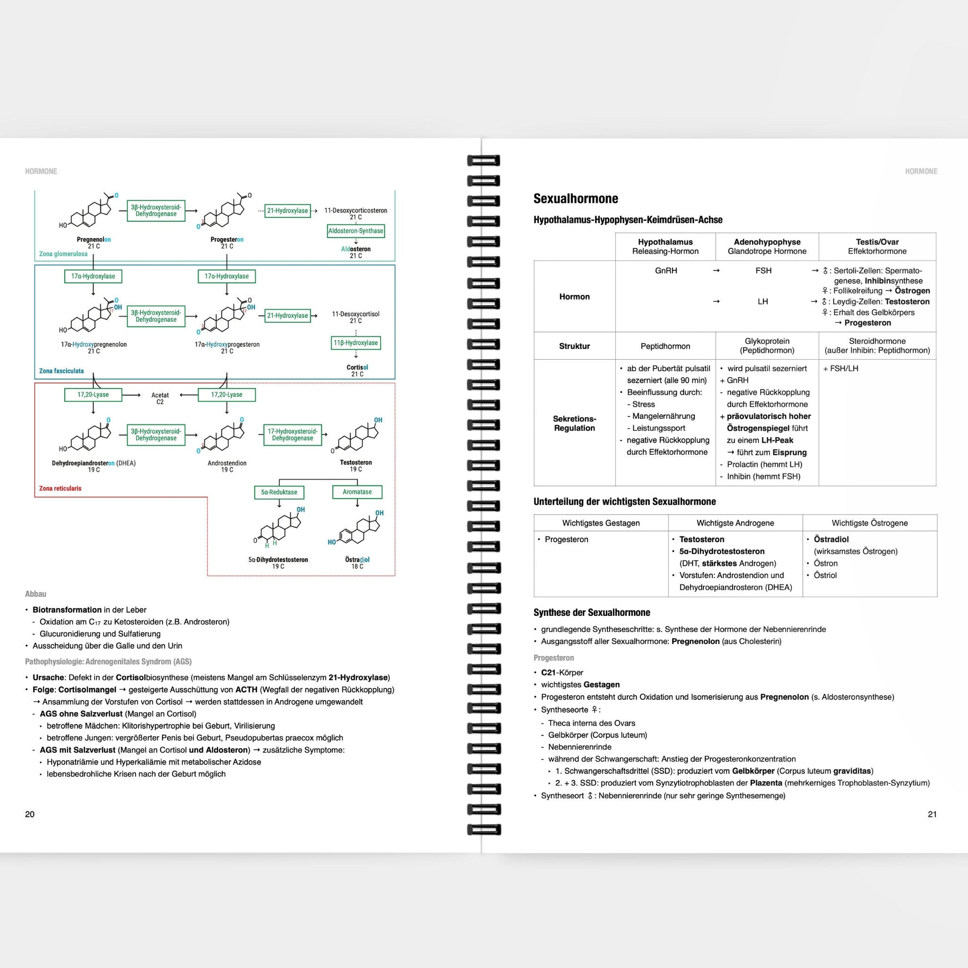 Biochemie 3 - CORETEXT