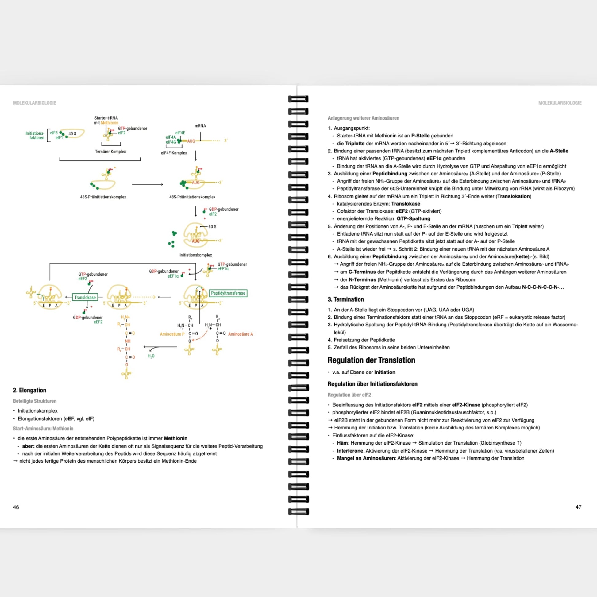 Biochemie 1 - CORETEXT