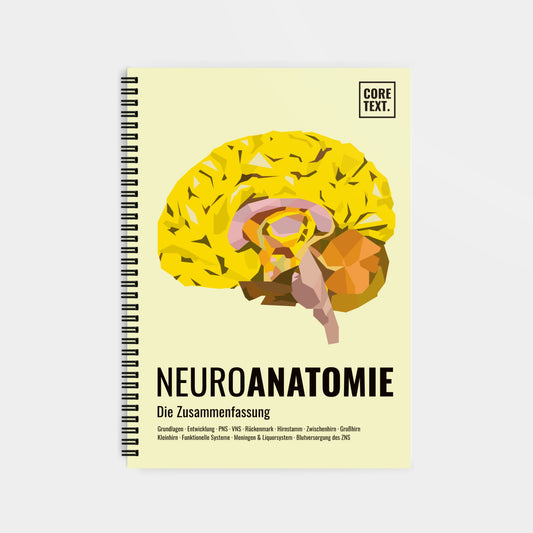 Neuroanatomie