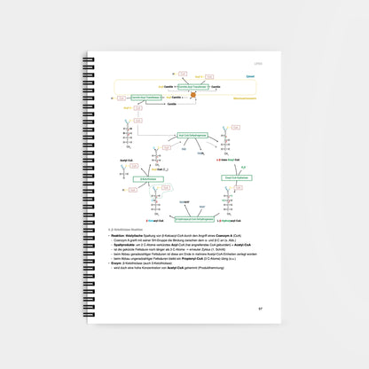 Biochemie 2 - CORETEXT