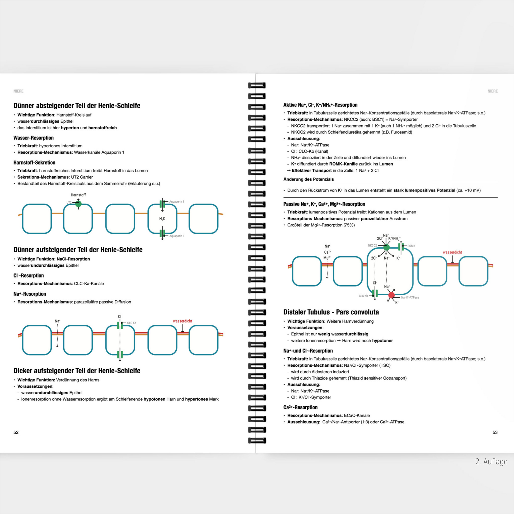 Physiologie 2 - CORETEXT