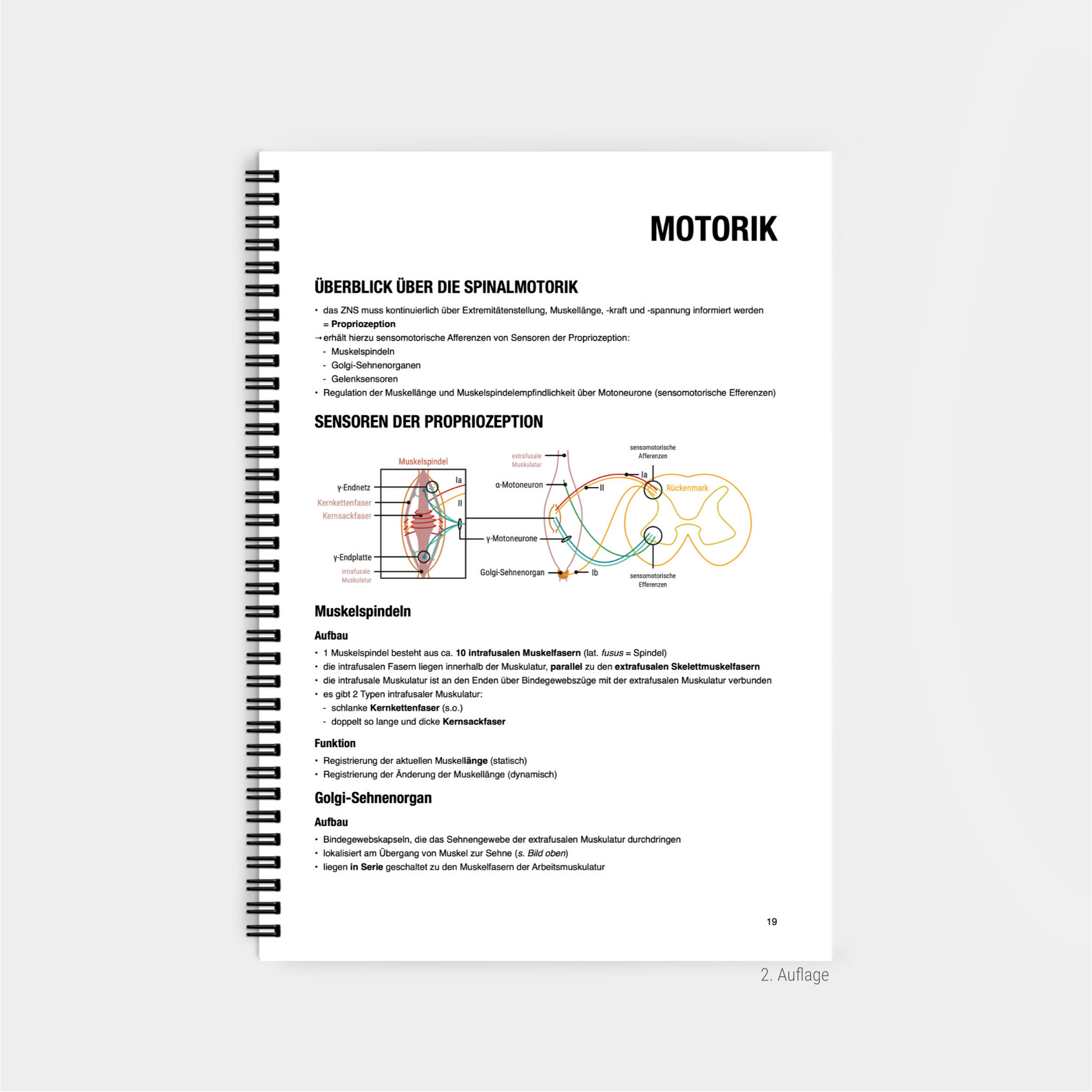 Physiologie 3 - CORETEXT