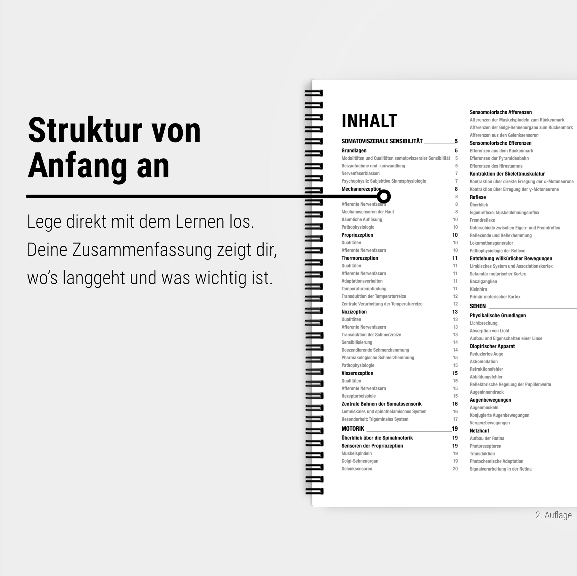 Das große Zeitsparset - Physiologie - CORETEXT