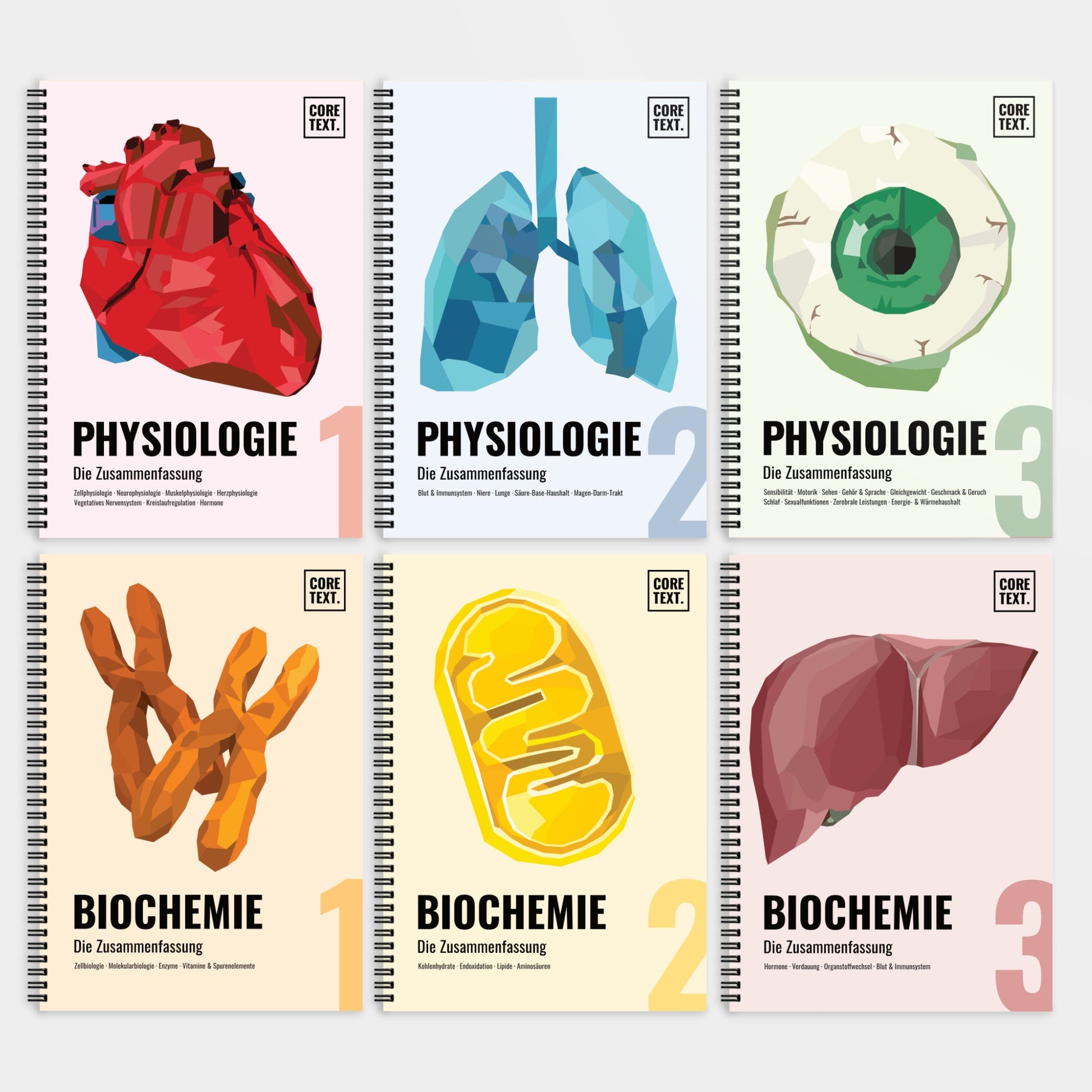 Das Mega-Zeitsparset - Biochemie & Physiologie - CORETEXT